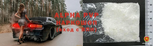 стаф Новодвинск