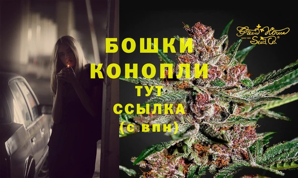 стаф Новодвинск