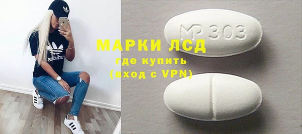 стаф Новодвинск
