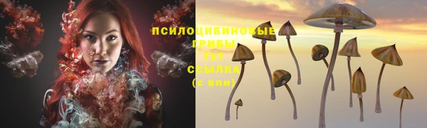 стаф Новодвинск