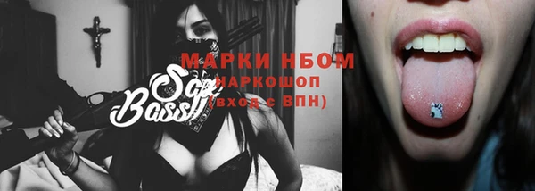 стаф Новодвинск