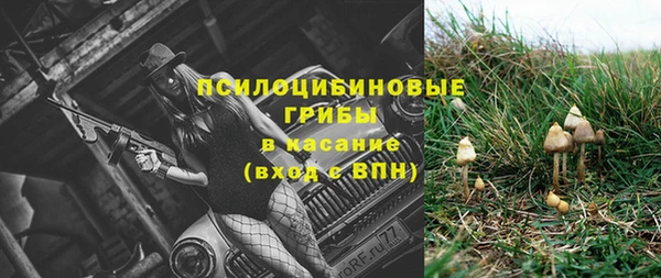 МДПВ Новокубанск
