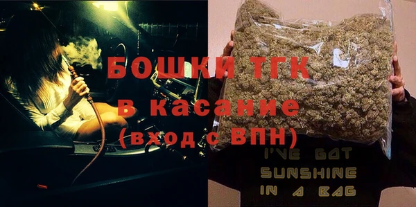 стаф Новодвинск