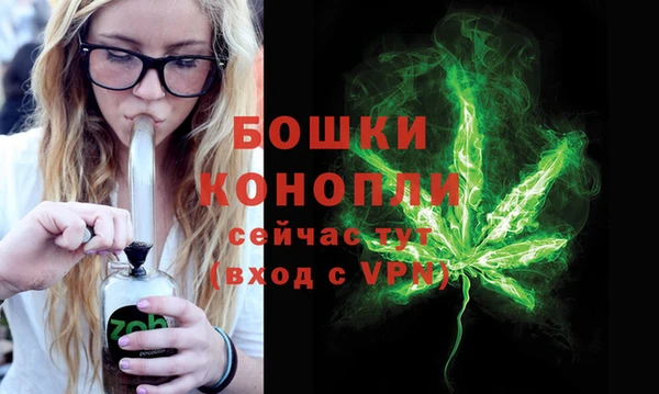 стаф Новодвинск