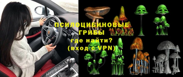 МДПВ Новокубанск