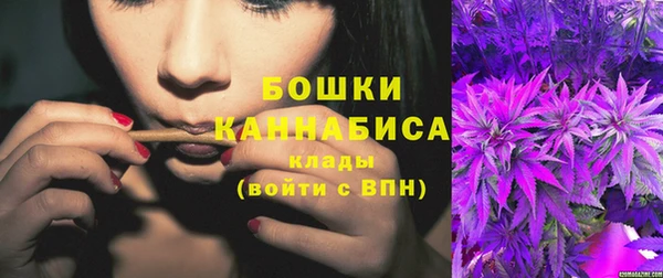 стаф Новодвинск