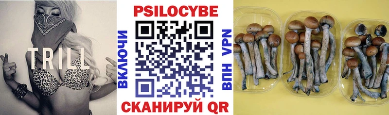 Псилоцибиновые грибы мицелий  дарк нет клад  Уяр  гидра как зайти 