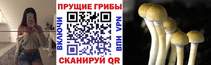 Псилоцибиновые грибы ЛСД Уяр